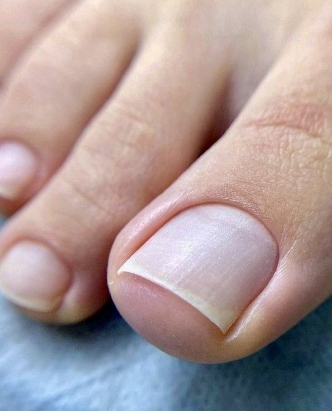 Пример работы Бьютилаб